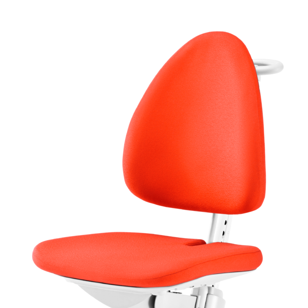 Moll Ersatzbezüge Ersatz-Husse Maximo