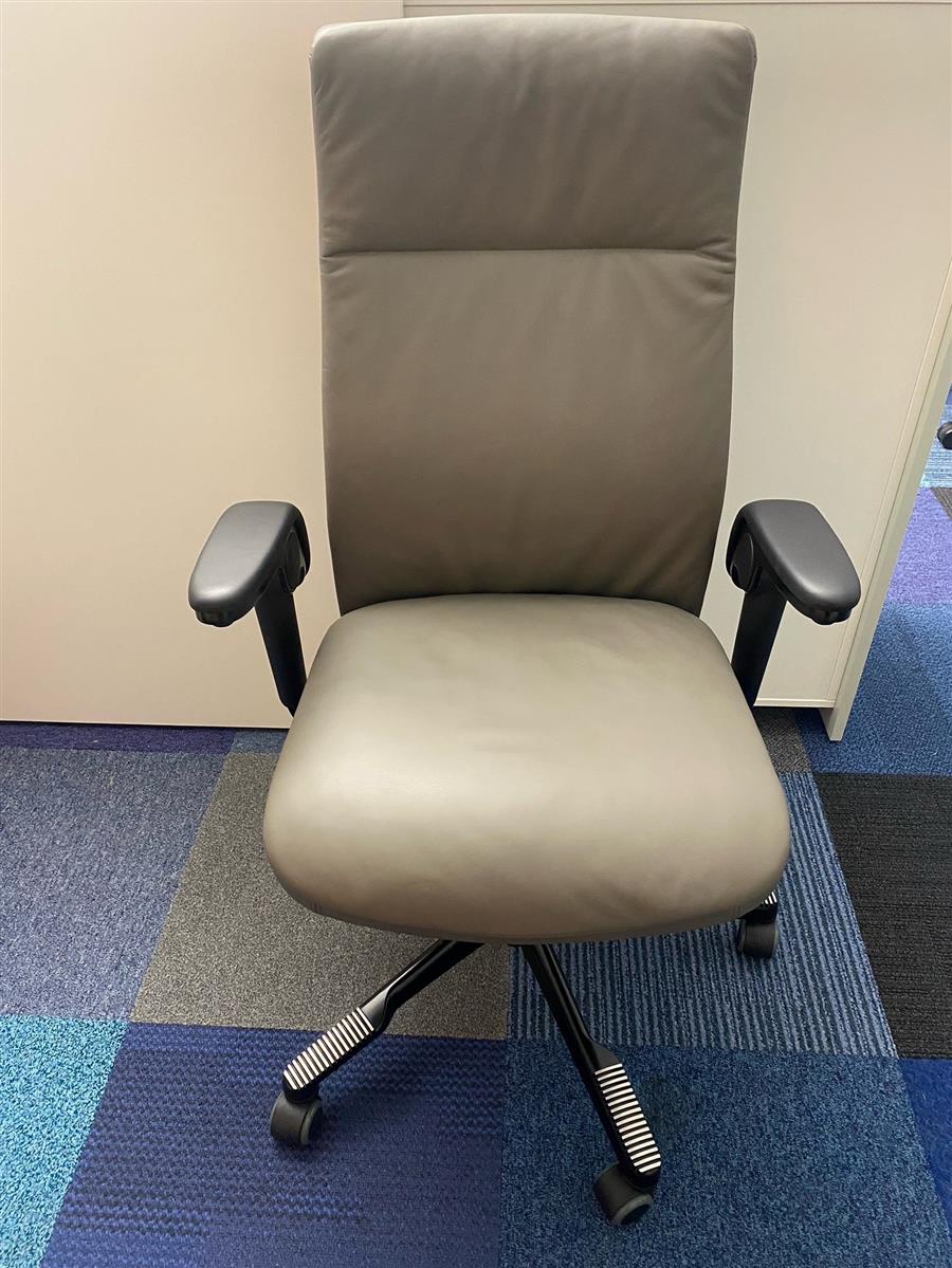 HAG H09 9073 Leder Grau Ausstellungsstück