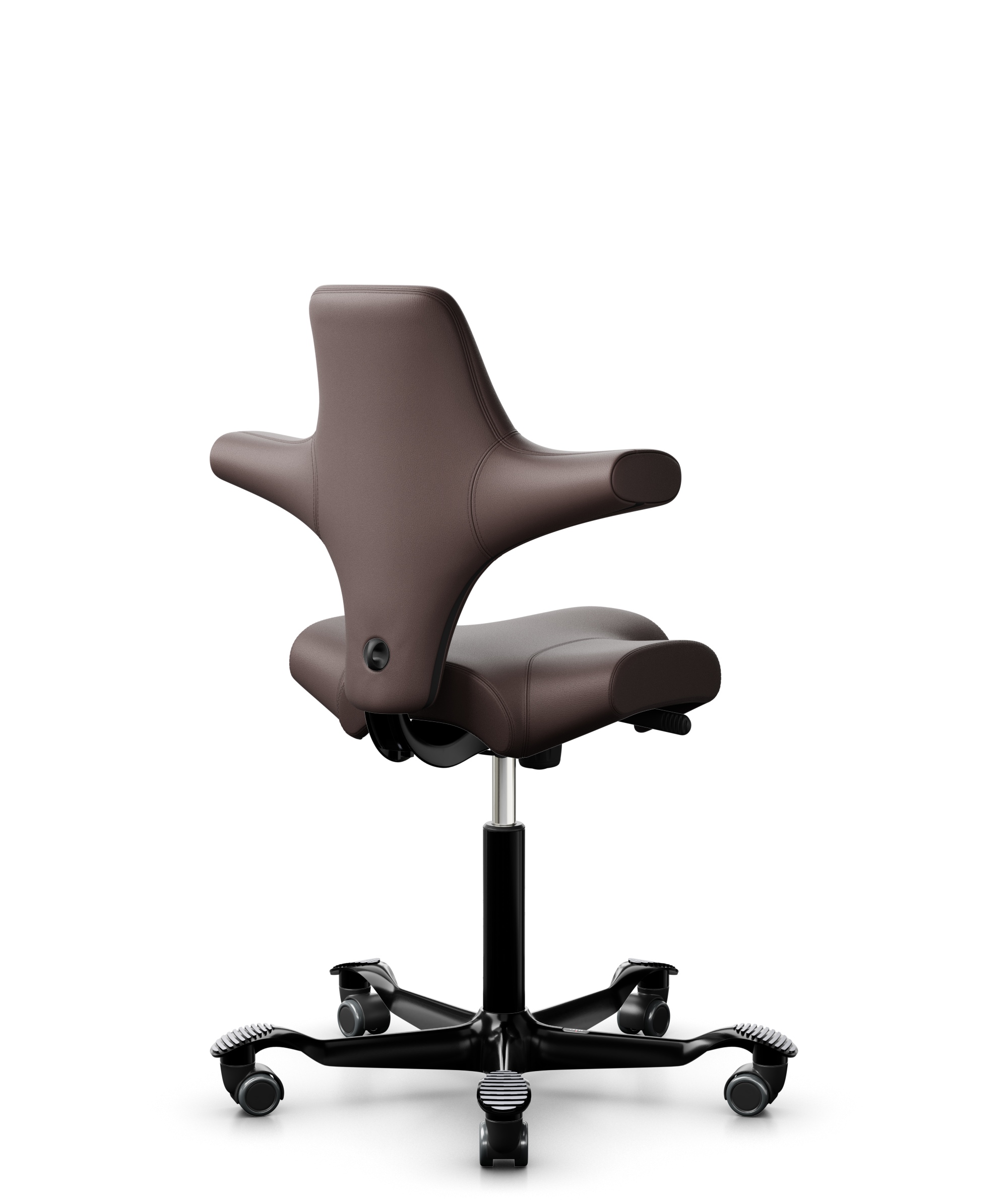 HAG Capisco 8106 Leder Paloma Wollsdorf