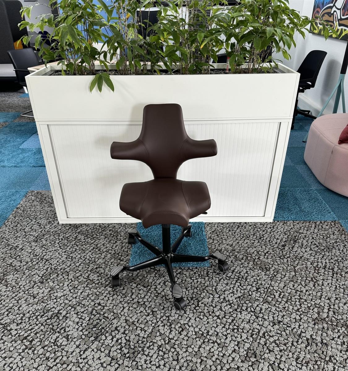 HAG Capisco 8106 Paloma Soft Maroon Dunkelbraun Ausstellungsstück