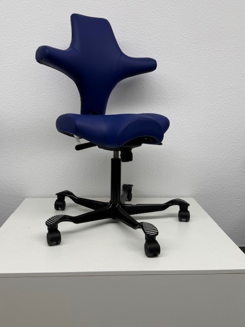 HAG Capisco 8106 - Ausstellungsstück - Bezug Leder Dunkelblau