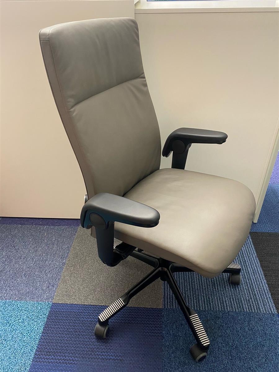 HAG H09 9073 Leder Grau Ausstellungsstück