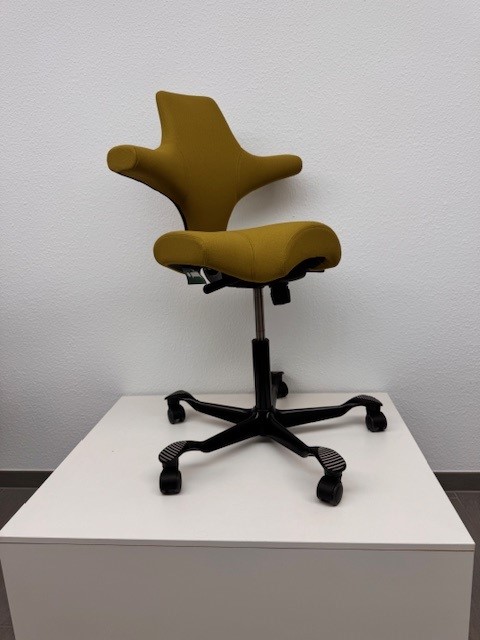 HAG Capisco 8106 - Ausstellungsstück - Bezug Xtreme Dunkelgrün