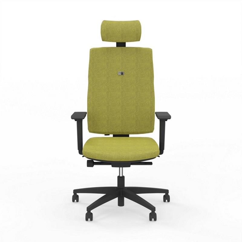 Viasit Linea Polsterrücken 46cm