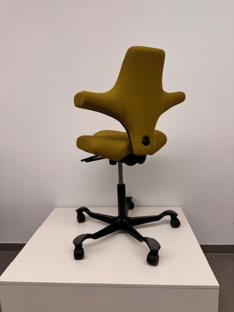 HAG Capisco 8106 - Ausstellungsstück - Bezug Xtreme Dunkelgrün