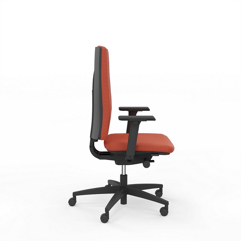 Viasit Linea Polsterrücken 52cm