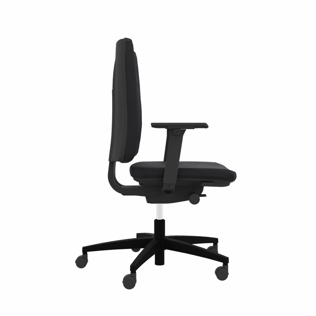 Viasit Linea Polsterrücken 52 cm in Schwarz mit 2D-Armlehnen