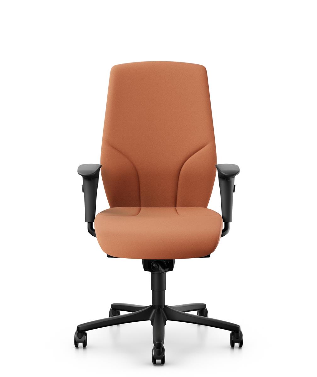 Giroflex 64-9278, Drehstuhl mit Armlehne, ohne Kopfstütze